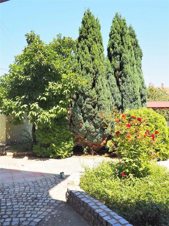 فرانيي Guest House Stefanovic المظهر الخارجي الصورة